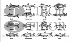 Tibor Signature Series Fly Reels With Engraving -Fishing Sport Shop ScreenShot2021 08 30at4.05.56PM